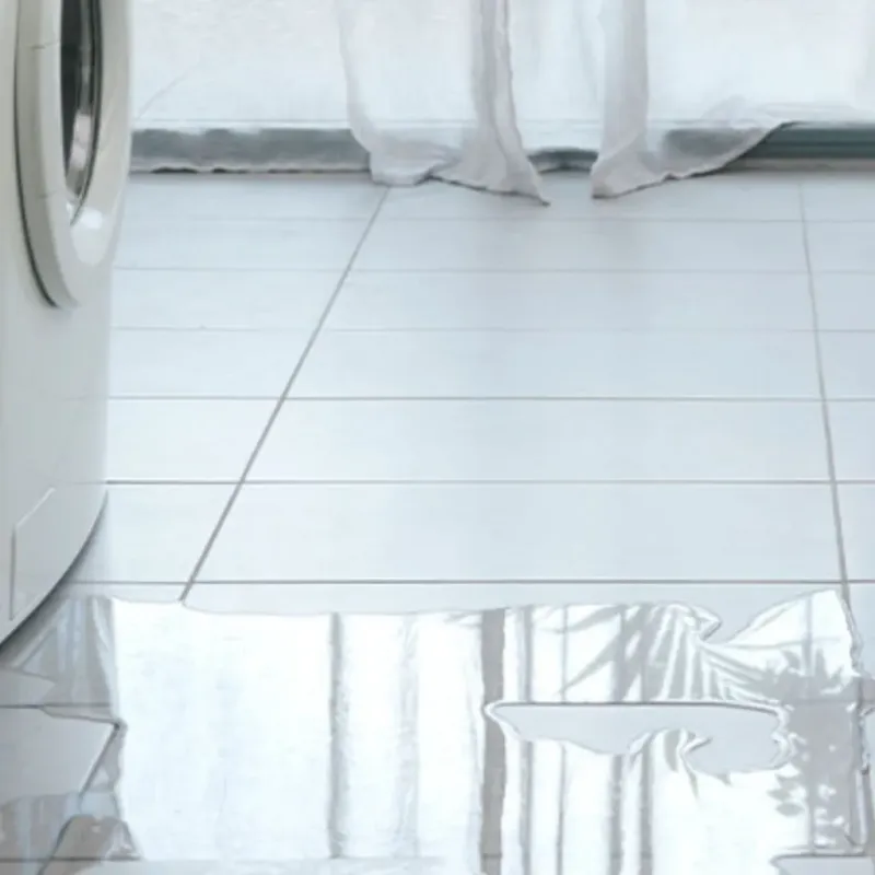 Appliance Leak Cleanup in Glen Carbon, IL
