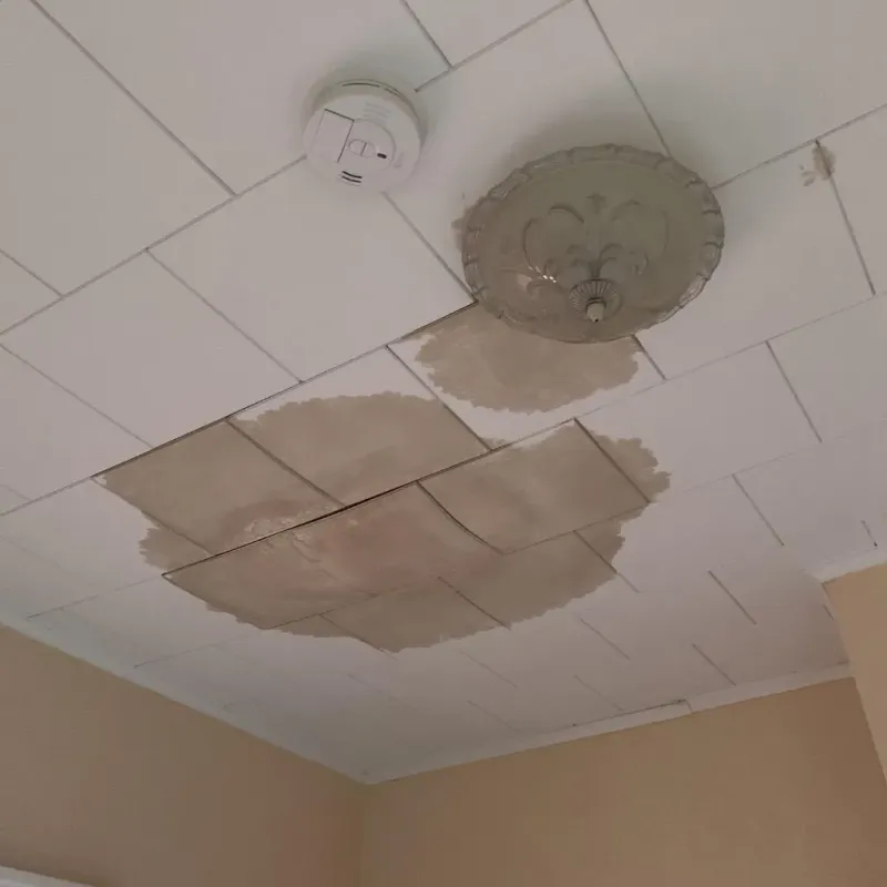 Ceiling Water Damage Repair in Glen Carbon, IL