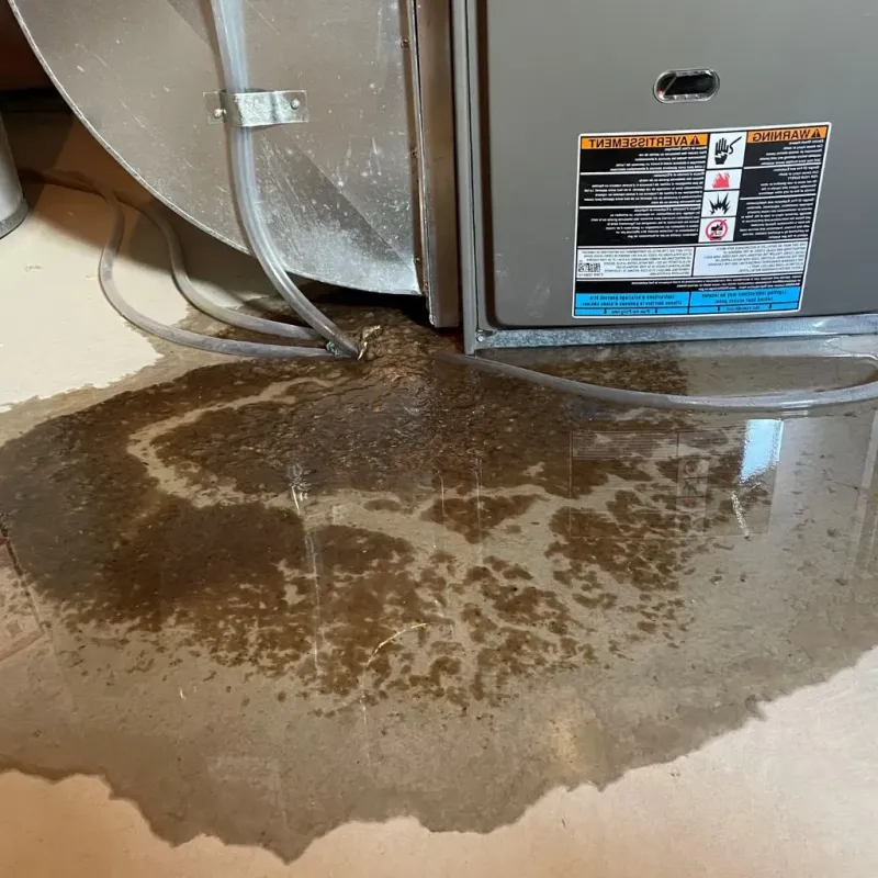 Pipe Burst and Leak Restoration in Glen Carbon, IL