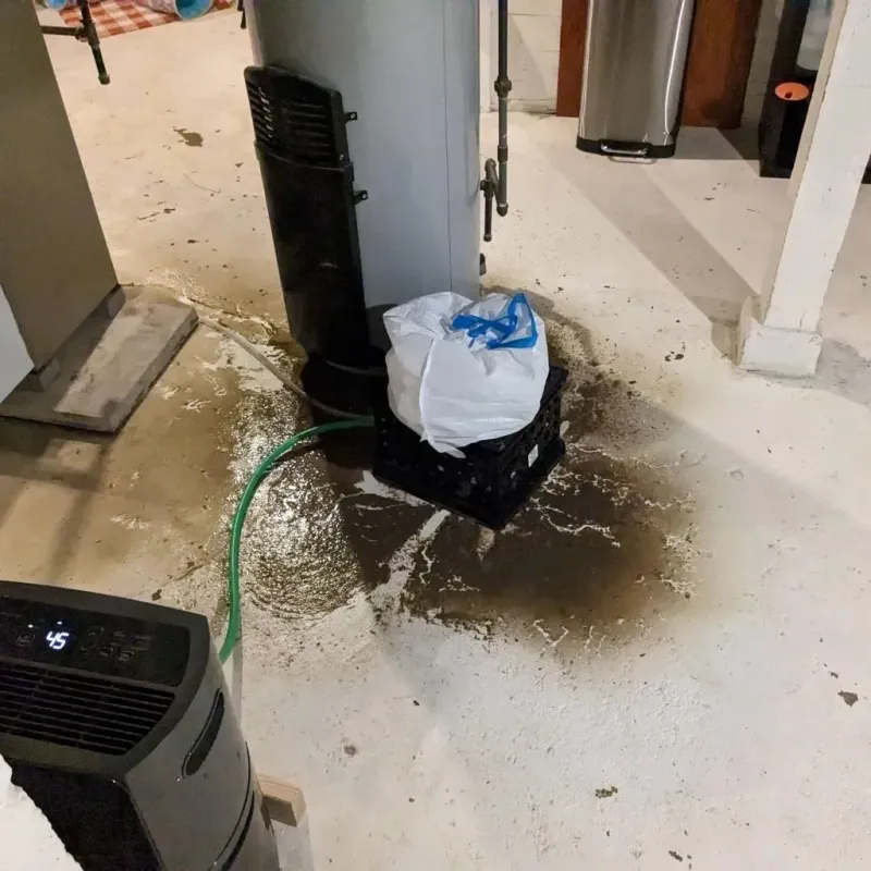 Sewage Backup Cleanup Service in Glen Carbon, IL